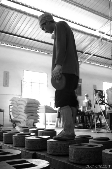 南糯古樹青餅2010年