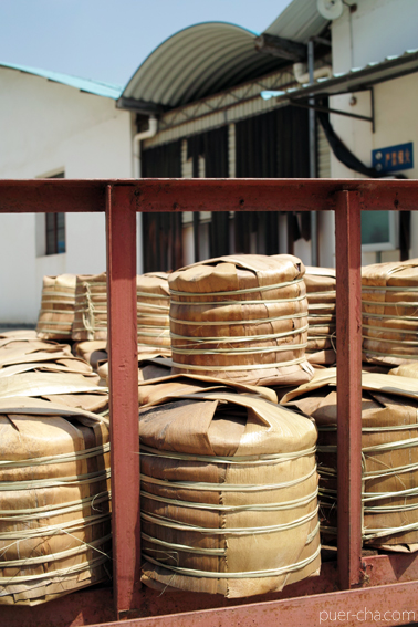 南糯古樹青餅2010年