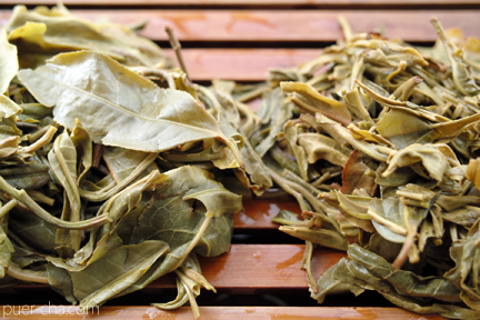 南糯古樹青餅2010年