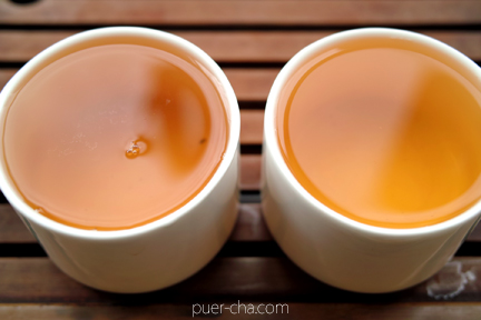 南糯古樹青餅2010年