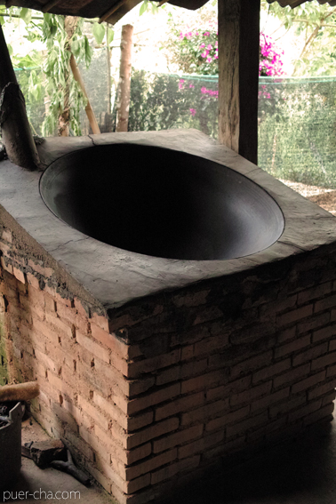 南糯古樹青餅2010年