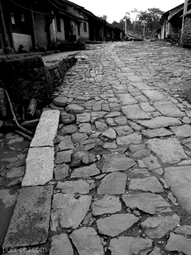 南糯古樹青餅2010年