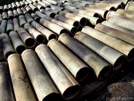 南糯古樹青餅2010年