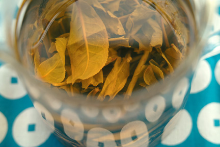 南糯古樹青餅2010年