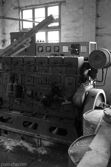 南糯古樹青餅2010年