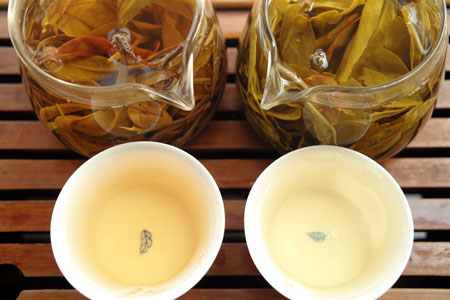 南糯蜜蘭青餅2013年プーアル茶