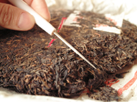 �v�[�A�����̕������菙�X�ɏI��