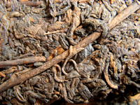 七子黄印大餅70年代プーアル茶