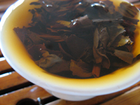 樟香青散茶90年代プーアル茶