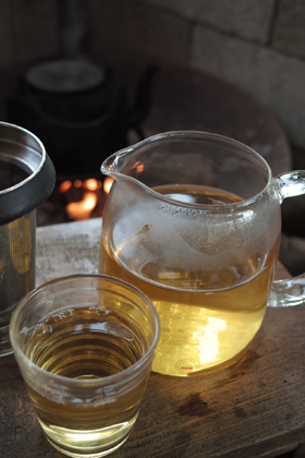 プーアール茶を自由に楽しむ