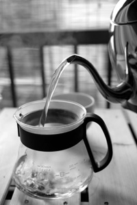 生茶のプーアール茶に蓋碗