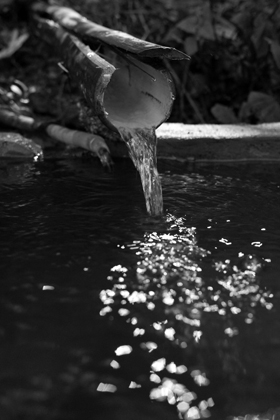 プーアル茶を自由に楽しむ