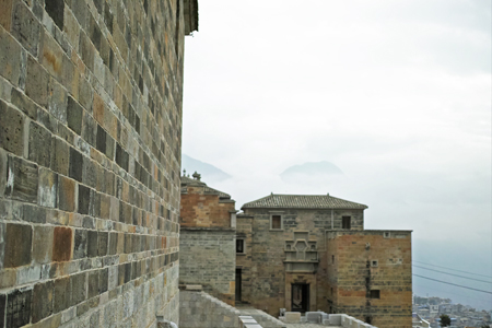 瑶郷古樹青餅2014年