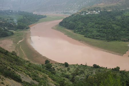瑶郷古樹青餅2014年