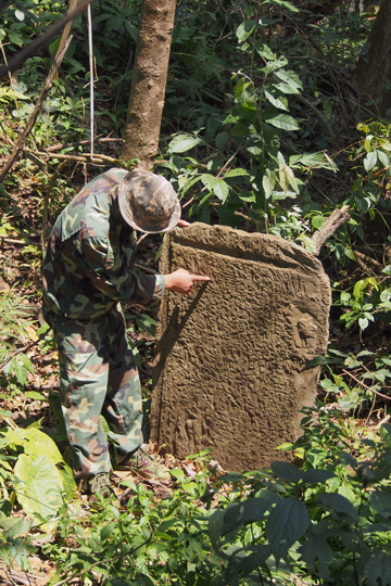 瑶郷古樹青餅2014年