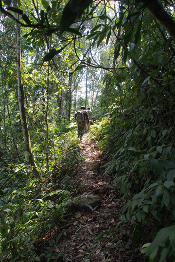 瑶郷古樹青餅2014年