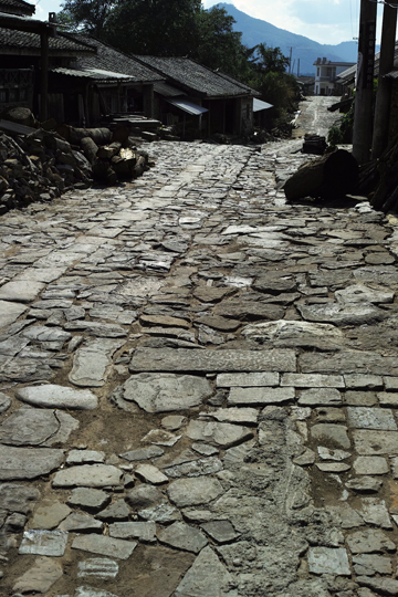 瑶郷古樹青餅2014年