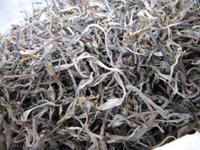 倚邦の小葉種の茶葉