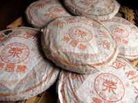 易昌號大漆樹圓茶04年