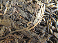 易昌號大漆樹圓茶04年