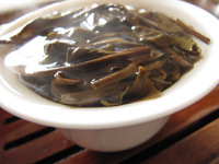 易昌號大漆樹圓茶04年