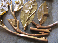 易昌號大漆樹圓茶04年