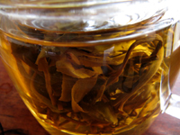 易昌號大漆樹圓茶04年