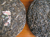 易昌號大漆樹圓茶04年と真淳雅號圓茶96年