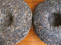 易昌號大漆樹圓茶04年と真淳雅號圓茶96年