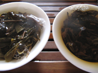 易昌號大漆樹圓茶04年と真淳雅號圓茶96年