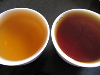 易昌號大漆樹圓茶04年と真淳雅號圓茶96年