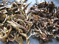 易昌號大漆樹圓茶04年と真淳雅號圓茶96年