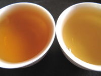易昌號大漆樹圓茶04年と大漆樹の餅茶2009年