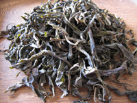 大漆樹の2009年春摘みの一芽三葉の茶葉