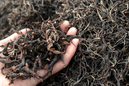 易武春風青餅プーアル茶