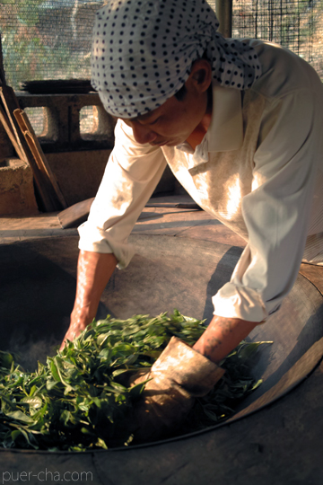 易武春風青餅プーアル茶