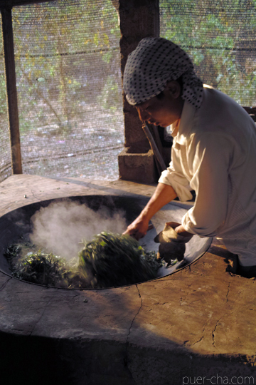 易武春風青餅プーアル茶