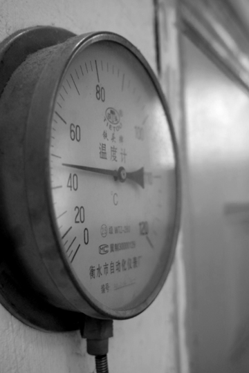 易武春風青餅プーアル茶