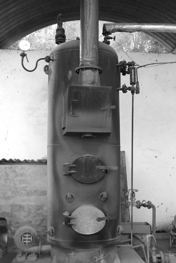 易武春風青餅プーアル茶