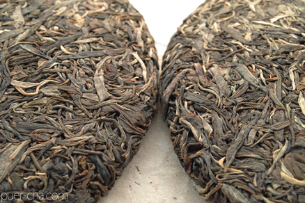 易武春風青餅プーアル茶