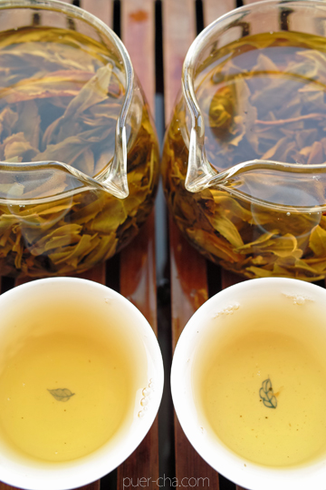 易武春風青餅プーアル茶