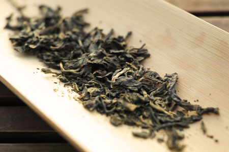 易武春風青餅プーアル茶