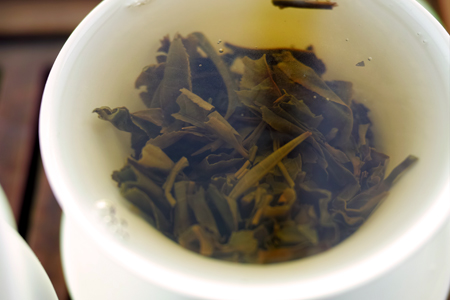 易武春風青餅プーアル茶