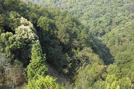 漫撒陰涼紅餅2015年