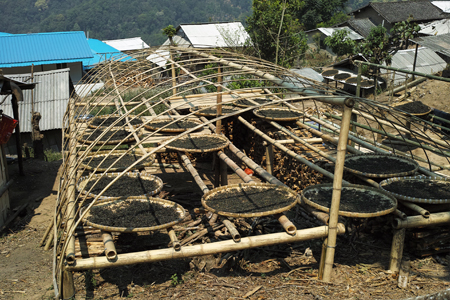 漫撒陰涼紅餅2015年