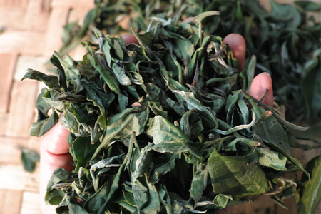 漫撒陰涼紅餅2015年