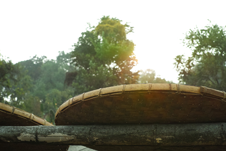 漫撒陰涼紅餅2015年