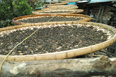 漫撒陰涼紅餅2015年