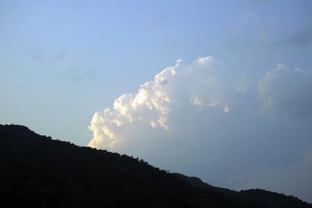 漫撒一水紅餅2016年