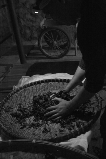 漫撒一水紅餅2016年